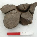 DSC 1889