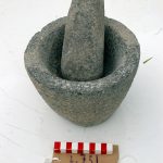 DSC 1901