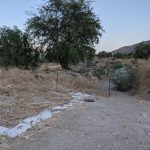 הזנחה ועזובה הטבריה הקדומה ספטמבר 2021 7 1