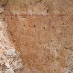 טיח צבוע בקיר של חדר באגף המערבי של הארמון הביזנטי